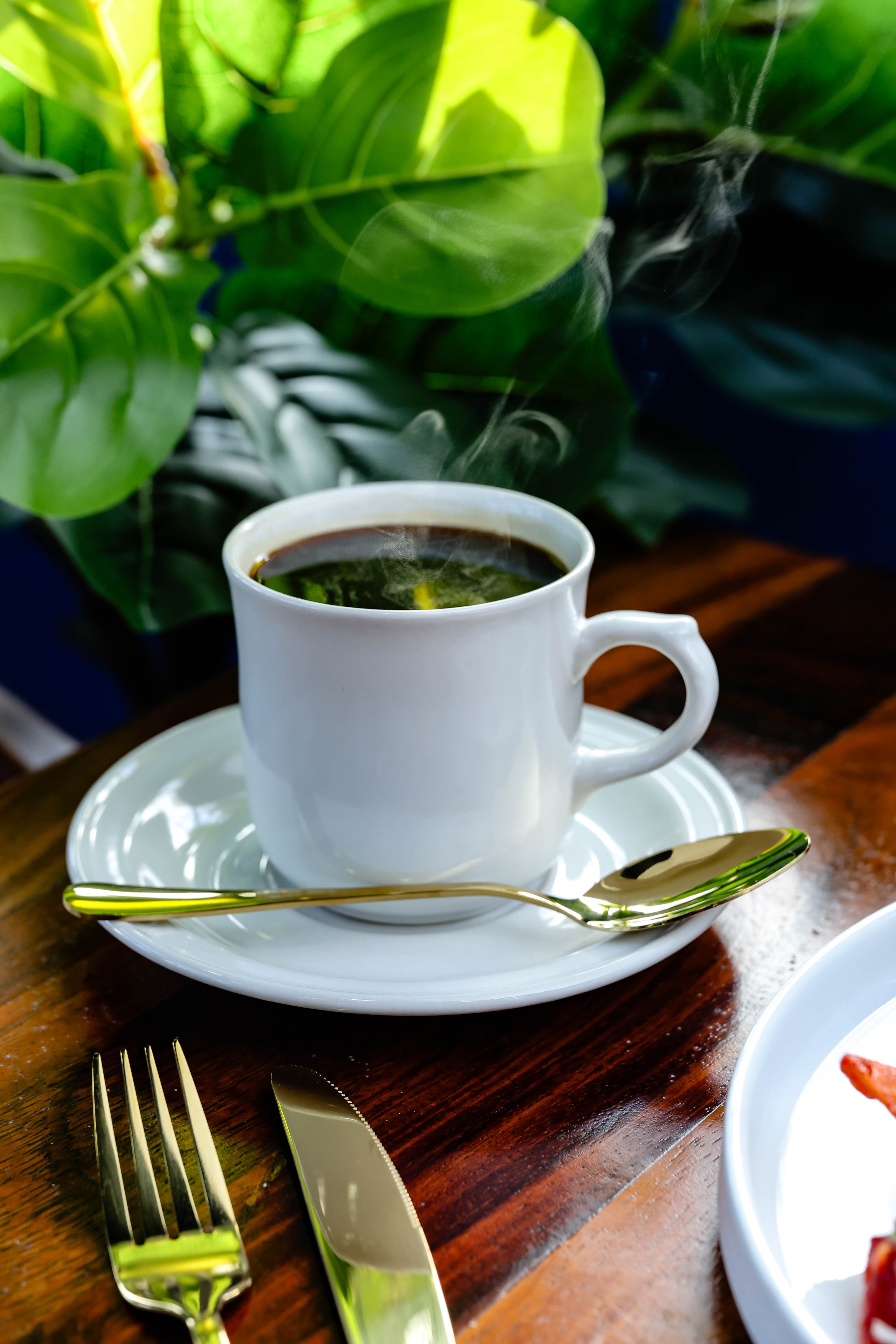 Café de especialidad